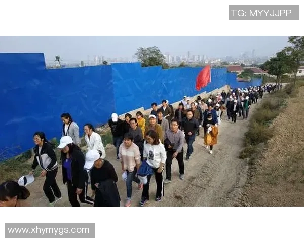 坚果哑铃技能搭配全攻略助你轻松提升训练效果与身体素质